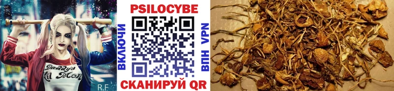 Галлюциногенные грибы Psilocybine cubensis  Выкса 