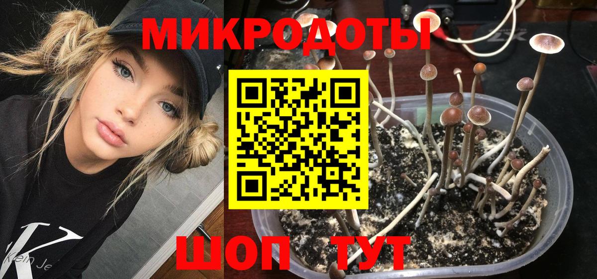Псилоцибиновые грибы MAGIC MUSHROOMS  Псилоцибиновые грибы Cubensis  где можно купить   Вход с VPN  Выкса 
