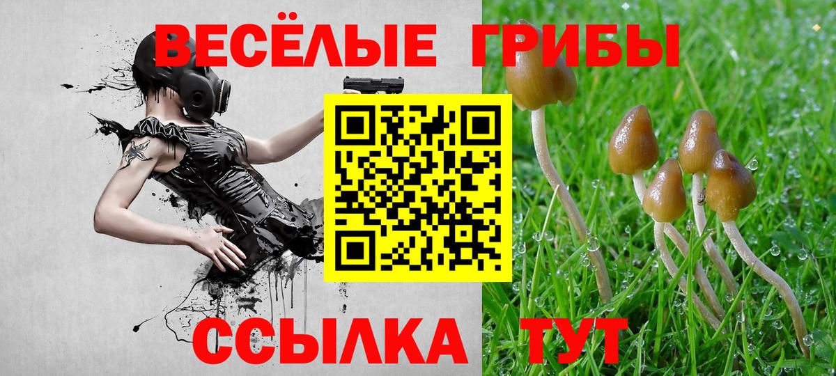Галлюциногенные грибы Cubensis Выкса
